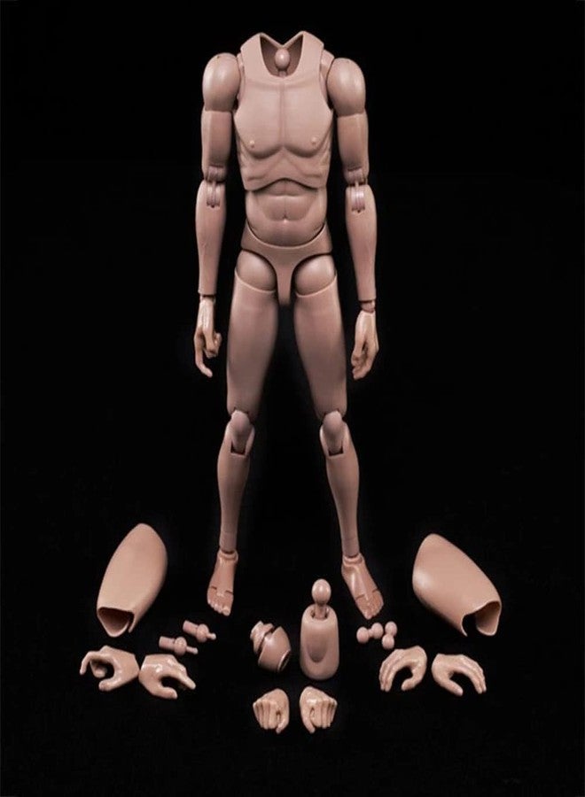 RoofWorld 1:6 Scale Nude Male Figure Body, Europe/Asian Skin Muscular Body Model Man Action Figure Fit 12Inch Doll Without Head Sculpt for Head with Neck (MX02-A) - Image 1